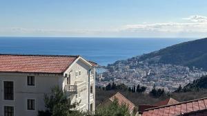 Marcovici mountain breeze