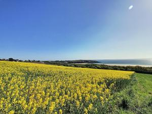 Maisons de vacances Maison Ranvedan a 250m de la plage - Crozon : photos des chambres