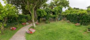 Villa Aurora Caprese