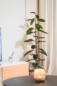 Niceto 5686 - Urban Studio Palermo Hollywood