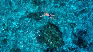 The Butterfly house img23