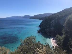 The Butterfly house img24