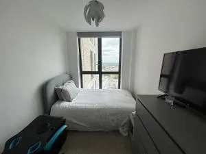 Barking Ap - Barking