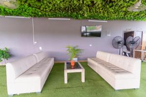 Hotel Plataneras Plaza