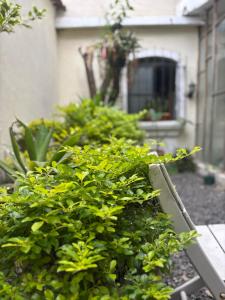 Cristales de Antigua La Calzada 2