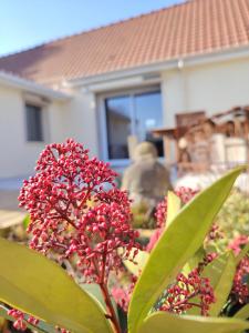 Le Jardin des Lacs Gîte Nature et SPA
