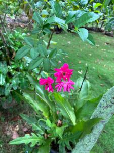 Apartamento Media Luna