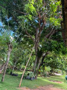 Apartamento Media Luna