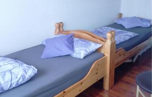 Stunning Home In Penzlin Ot Wustrow