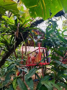 Garza del Sol Glamping Bromelia