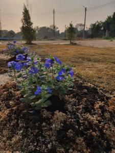 Baan Marrada Chonburi