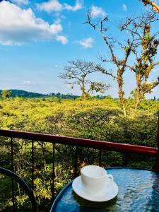 Rio celeste los teƱideros Garza del Sol Glamping Buganvilia