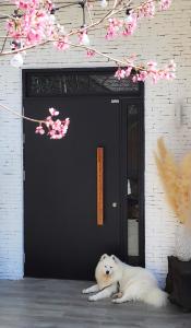 THE ARIX House & Studio