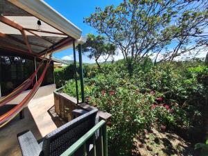 Mountain view Monteverde, Cecropia Paradise