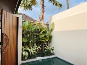 Casalita Ubud Villas