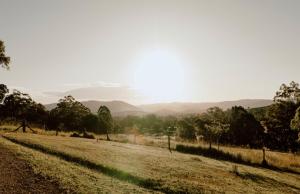 Romance Awaits at Down at The Dale Studio