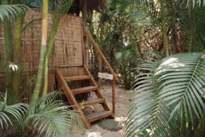 Kactus - Your Island Sanctuary