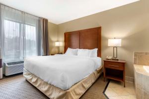 King Room - Non-Smoking room in Comfort Inn & Suites Black River Falls I-94