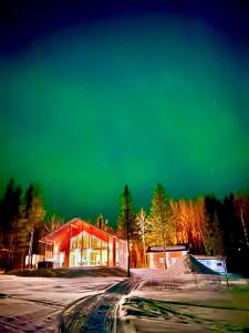 Luxury villa Levin Höperö