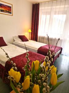 Ośrodek Trzy Korony Krościenko nad Dunajcem - Ubytování bez kategorie ve městě Krościenko