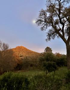 Mas rénové par un architecte