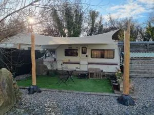 Mehefin Coed c/o llwyn Celyn - Mynachlogddu