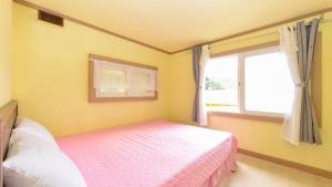 Star Light Pension Pet friendly