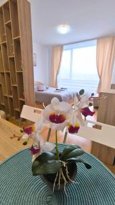 Aspen Golf Resort C207, free SPA - 3hvězdičkové hotely ve městě Razlog