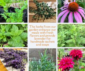 Julians English Homestay and Pension