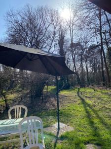 Chalets cabane : photos des chambres