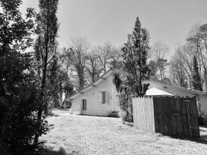 Chalets cabane : photos des chambres