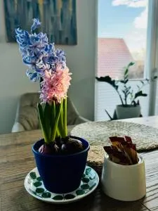 gemütliche Ferienwohnung mit Garten - Schwifting