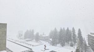 Résidence Vega - Studio lumineux · Proche des pistes et des commerces · Balcon MAE-1641