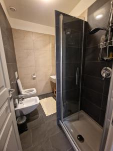 Five Roses Studio Flat img10