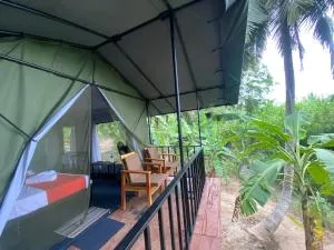 coconut camp udawalawe - Dematapelessa