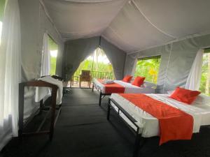 coconut camp udawalawe