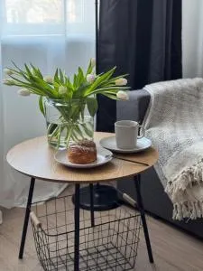 Comfy Center Apartment - Varpas