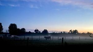 B&B / Chambres d'hotes Le Beau Moulin : photos des chambres