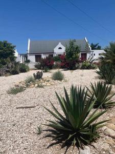 Lady Grey Walk Mcgregor Cottage