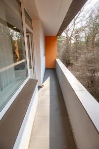 Klaipedas apartaments