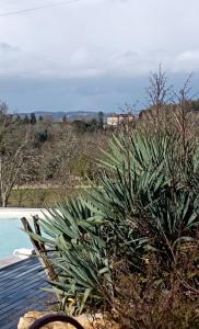 Villas Les Terrasses du Carlat Le four a pain, situation ideale pour visiter la Dordogne, piscine, jardin, parc, charme : photos des chambres