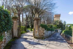 Florence View Apartment