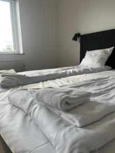 Family Room (2 Adults + 1 Child) room in Hotel Havlund BB