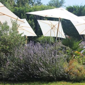 Appartements Gite - LA CLOCHETTE : photos des chambres