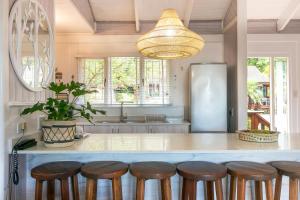 Knysna - Oyster Catcher