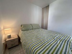 Appt 2 pièces 4 couchages CAP D AGDE CT590-233