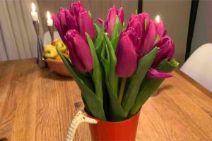 Veludstyret sommerhus i unik natur 350 m fra lækker badestrand - helårsbolig