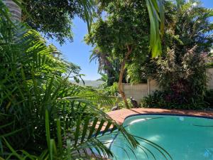 MaeStorm GardensAfrican apartement