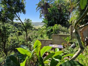 MaeStorm GardensAfrican apartement