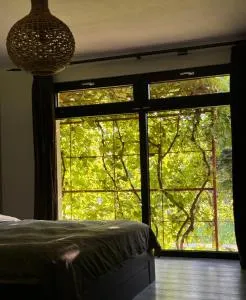 O Casǎ - 道泽兹西特里奥格